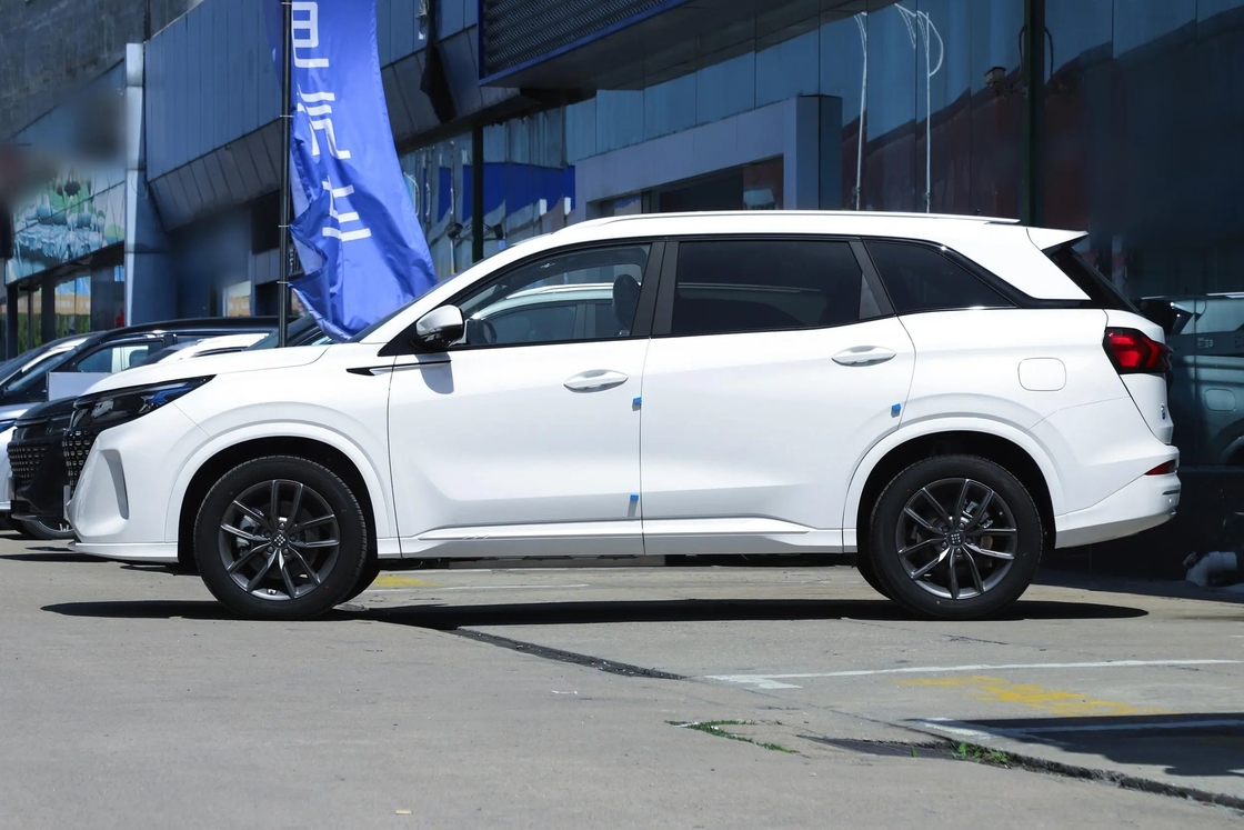Blue Electric E5 Seres xe điện cho giá cả phải chăng và lái xe không khí thải
