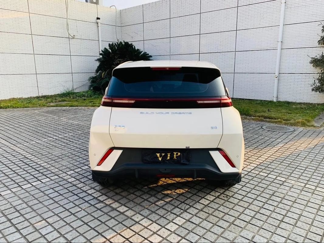 Byd Seagull 2024 Honor Edition 305km Phiên bản miễn phí Xe điện Xe năng lượng mới